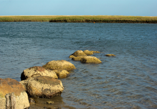 Nauset Marsh