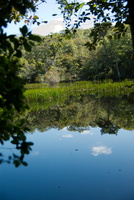 Pond, Cedar Tree Neck Sanctuary