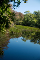 Pond, Cedar Tree Neck Sanctuary