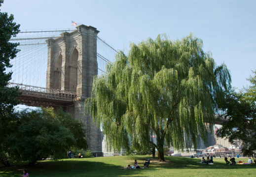 Brooklyn Bridge from the Brooklyn Bridge Park