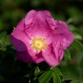 imgp4714.jpg