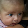 imgp6500.jpg