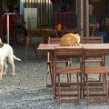 2012-08-05_Vacances89.jpg
