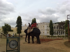 Ride the elephant ! 