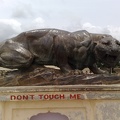 Image108.jpg