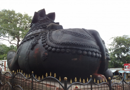 Chamundi Hill : Le taureau sacré