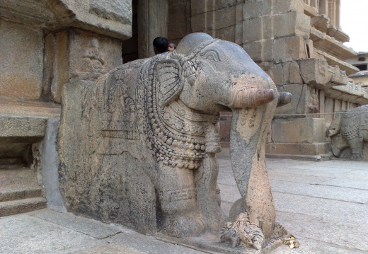 Ranganatha : éléphant