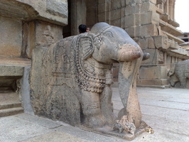 Ranganatha : éléphant