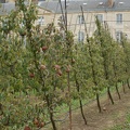 imgp2507.jpg