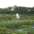 imgp2515.jpg