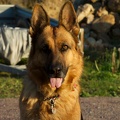 imgp2794.jpg