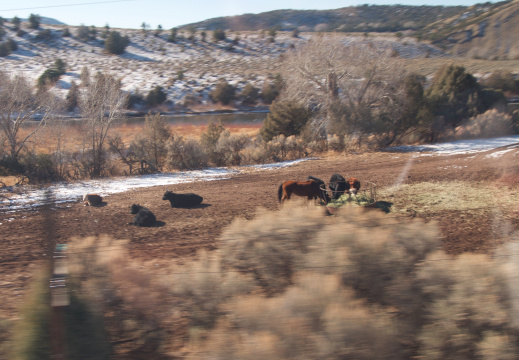 California Zephyr - Colorado River Valley