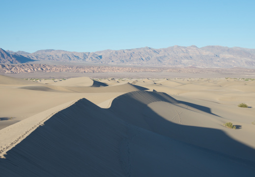 Mesquite Flat Dunes