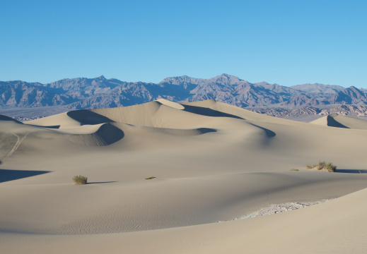 Mesquite Flat Dunes