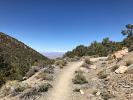 Wildrose Peak