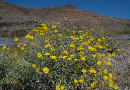 Death Valley