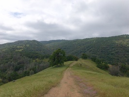 Ohlone Wilderness Trail
