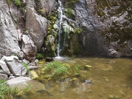 Murietta Falls - Ohlone Regional Wilderness