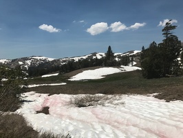 Snow in the meadows on the PCT toward Sonora Pass