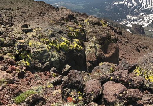 Lichens and volcanic rocks  at the top of Sonora Peak