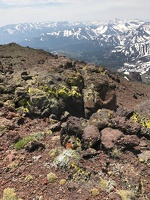 Lichens and volcanic rocks  at the top of Sonora Peak