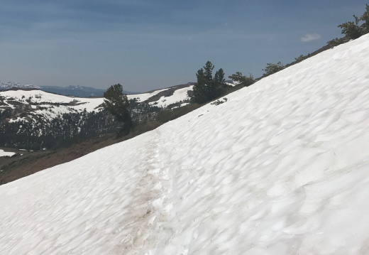 Walking on the snow down the PCT toward Sonora Pass