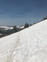 Walking on the snow down the PCT toward Sonora Pass