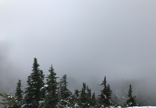 Mount Rainier behind the Clouds
