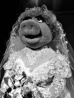 Miss Piggy, the bride