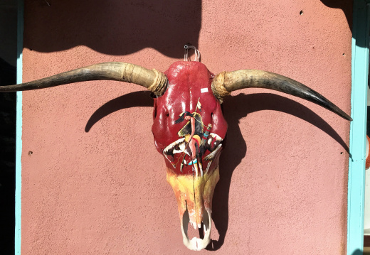 Cow Skull Art