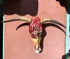 Cow Skull Art