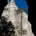 New Mexico - 33.jpg