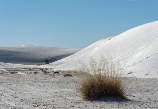 White Sands National Monument