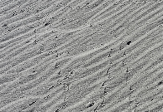 White Sands National Monument