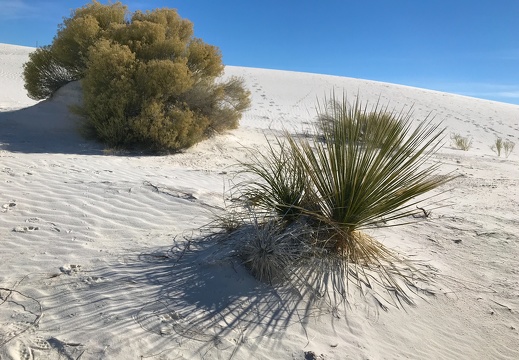 White Sands National Monument