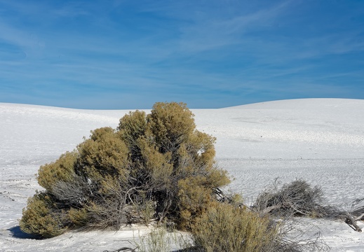 White Sands National Monument