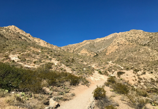 ⁨Franklin Mountains State Park⁩