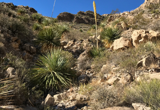 ⁨Franklin Mountains State Park⁩