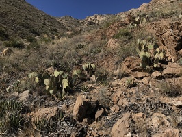 ⁨Franklin Mountains State Park⁩