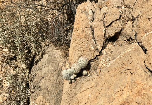 ⁨Franklin Mountains State Park⁩