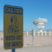 Watch out for Snakes