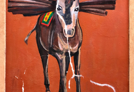 Burro Alley