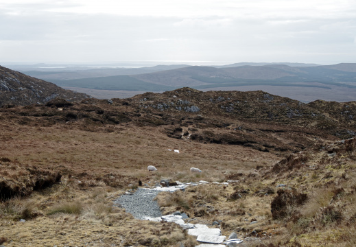 Diamond Hill - Connemara