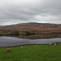 2018-03-09 Irlande - 102 of 126.jpg