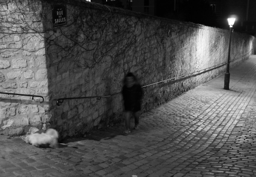 Night - Walking the dog