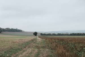 Lizy-sur-Ourcq - La Ferté-sous-Jouarre