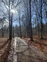 Fontainebleau - Bois-Le-Roi