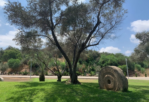 Eretz Israel Museum