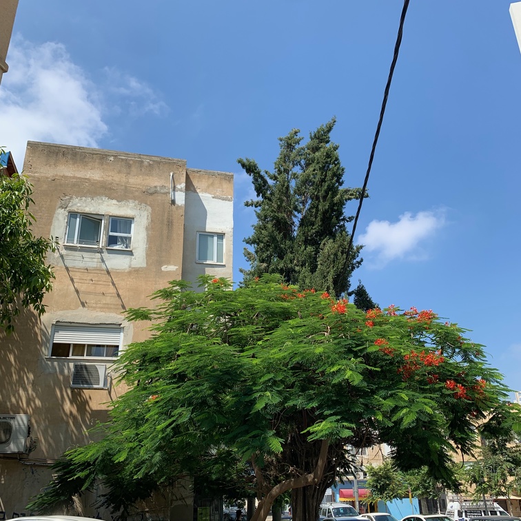 2019-06 Tel Aviv - Jerusalem - 66 of 311.jpg