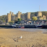 Conwy Castle and Harbor